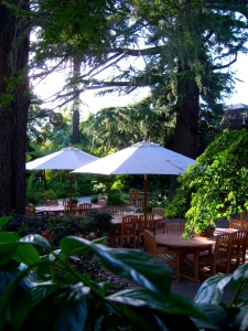 Tall redwoods provide shade for the lush landscaping at Wine and Roses. 